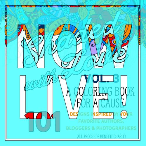 19466732_1809704929274059_3424897928444254426_o